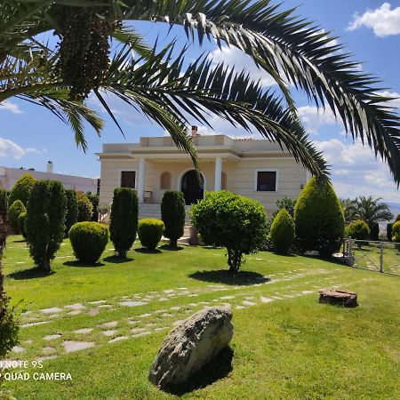 Luxury Villa Thea Volos Luaran gambar
