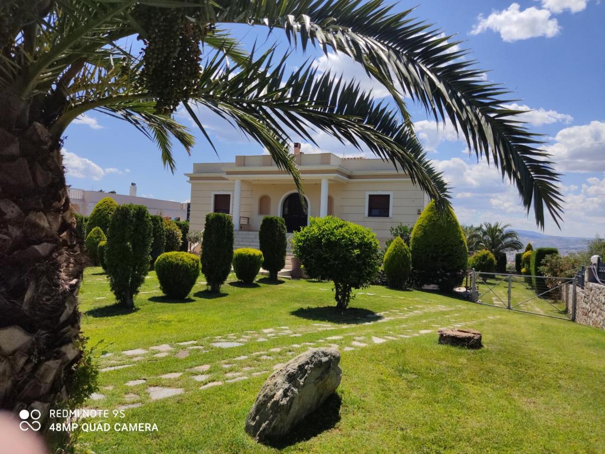 Luxury Villa Thea Volos Luaran gambar