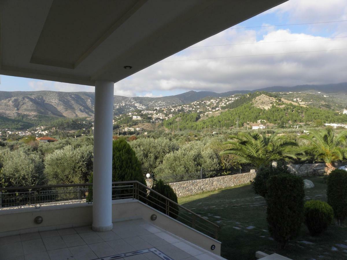 Luxury Villa Thea Volos Luaran gambar
